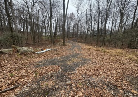 31 Oak Ridge, Newtown, 06470, 0 , 0 ,0,Lots And Land For Sale,For Sale,Oak Ridge,0,24142278