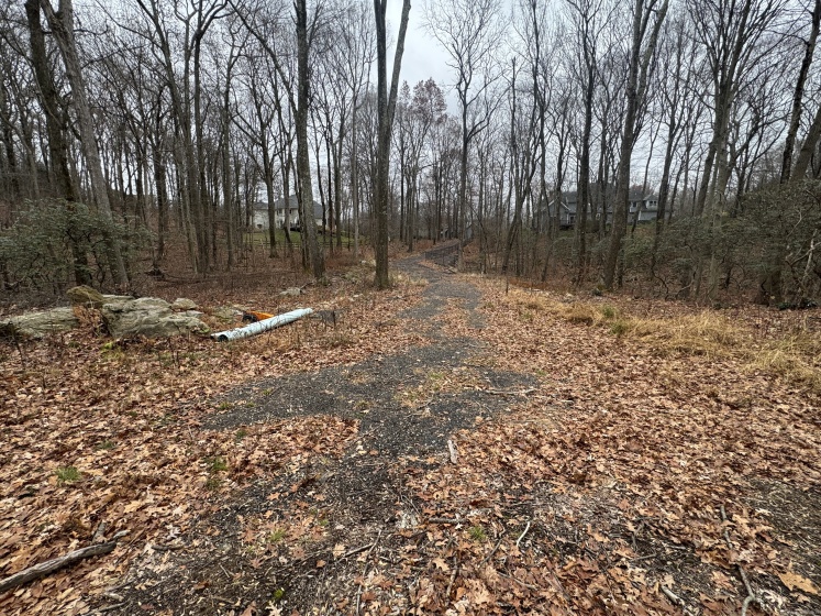 31 Oak Ridge, Newtown, 06470, 0 , 0 ,0,Lots And Land For Sale,For Sale,Oak Ridge,0,24142278