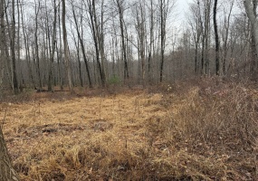 312 Merrow, Tolland, 06084, 0 , 0 ,0,Lots And Land For Sale,For Sale,Merrow,0,24142381 312 Merrow, Tolland, 06084, 0 , 0 ,0,Lots And Land For Sale,For Sale,Merrow,0,24142381