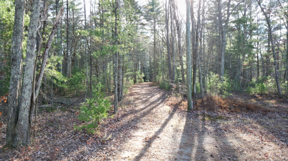 81 Deerfield, Sterling, 06373, 0 , 0 ,0,Lots And Land For Sale,For Sale,Deerfield,0,24142268