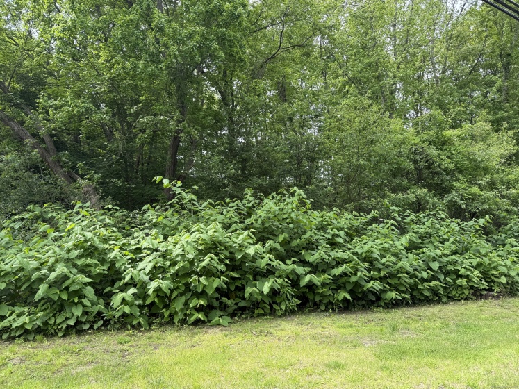 2 Sandra, Plymouth, 06786, 0 , 0 ,0,Lots And Land For Sale,For Sale,Sandra,0,24101387