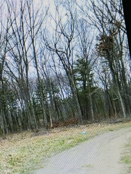 25 Matthew, Windsor, 06095, 0 , 0 ,0,Lots And Land For Sale,For Sale,Matthew,0,24144108