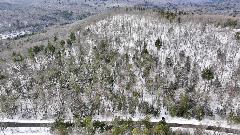 Prock Hill, Colebrook, 06021, 0 , 0 ,0,Lots And Land For Sale,For Sale,Prock Hill,0,24144226