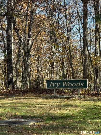 87 Buff Cap, Tolland, 06084, 1 Bedroom Bedrooms, 0 ,1 BathroomBathrooms,Residential Rental,For Sale,Buff Cap,0,24145201