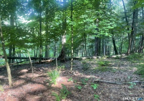 Railroad, Cornwall, 06753, 0 , 0 ,0,Lots And Land For Sale,For Sale,Railroad,0,24145773