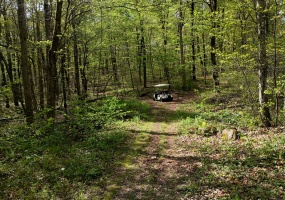 Litchfield, Watertown, 06795, 0 , 0 ,0,Lots And Land For Sale,For Sale,Litchfield,0,24148536