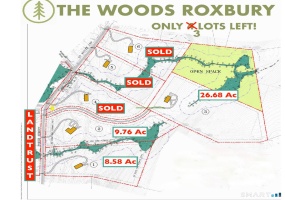 204 North, Roxbury, 06783, 0 , 0 ,0,Lots And Land For Sale,For Sale,North,0,24139288 204 North, Roxbury, 06783, 0 , 0 ,0,Lots And Land For Sale,For Sale,North,0,24139288
