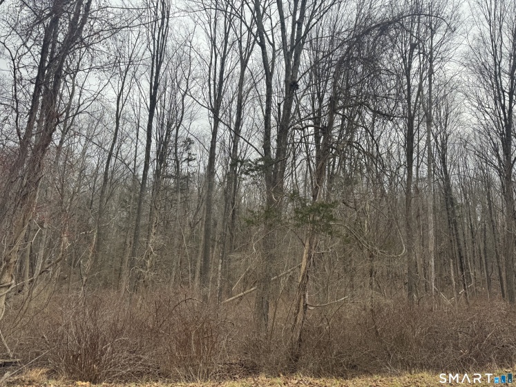 0 Bell, Middletown, 06457, 0 , 0 ,0,Lots And Land For Sale,For Sale,Bell,0,24149149