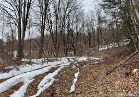 1092 Hickory Hill, Thomaston, 06787, 0 , 0 ,0,Lots And Land For Sale,For Sale,Hickory Hill,0,24151727