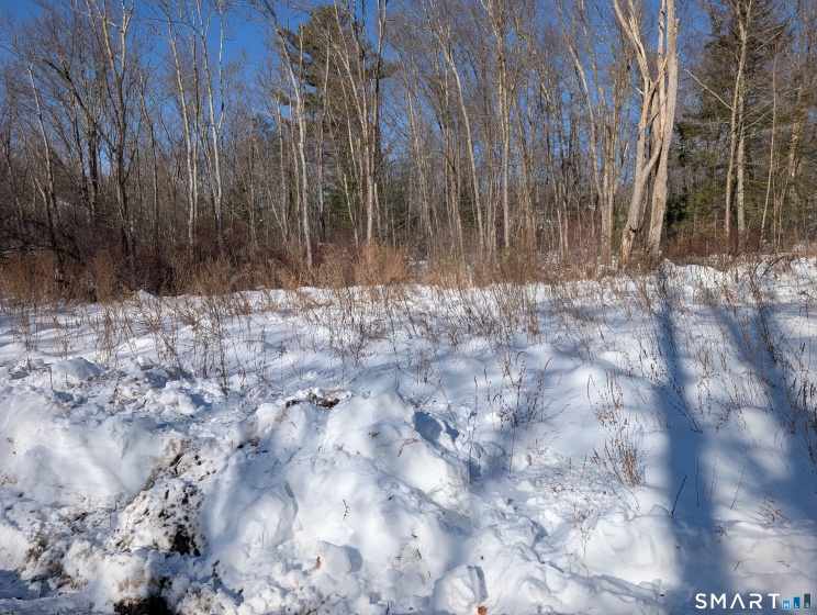 660 Torringford, Torrington, 06790, 0 , 0 ,0,Lots And Land For Sale,For Sale,Torringford,0,24152404