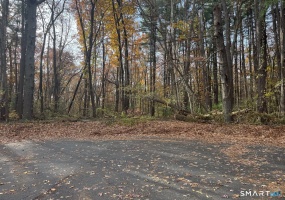 0 Walnut and Larch Drive, Windsor, 06095, 0 , 0 ,0,Lots And Land For Sale,For Sale,Walnut and Larch Drive,0,24152589