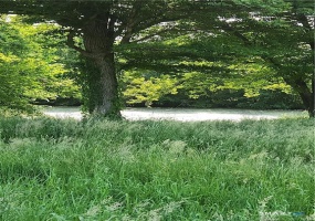 100 Kahn, Franklin, 06254, 0 , 0 ,0,Lots And Land For Sale,For Sale,Kahn,0,24155748