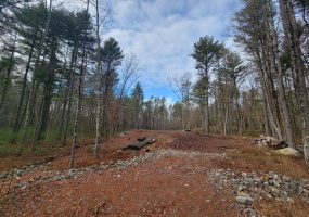 200 Orcuttville, Stafford, 06076, 0 , 0 ,0,Lots And Land For Sale,For Sale,Orcuttville,0,24161050 200 Orcuttville, Stafford, 06076, 0 , 0 ,0,Lots And Land For Sale,For Sale,Orcuttville,0,24161050