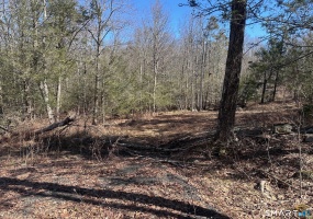 302 Gillette, New Hartford, 06057, 0 , 0 ,0,Lots And Land For Sale,For Sale,Gillette,0,24161035 302 Gillette, New Hartford, 06057, 0 , 0 ,0,Lots And Land For Sale,For Sale,Gillette,0,24161035