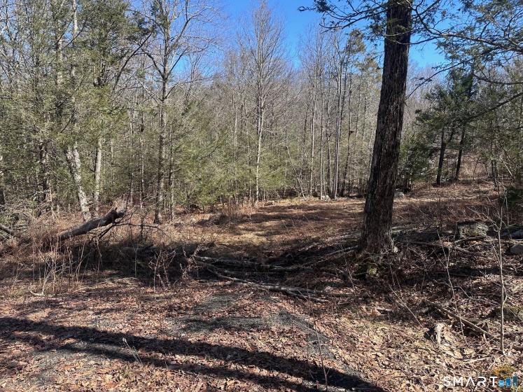 302 Gillette, New Hartford, 06057, 0 , 0 ,0,Lots And Land For Sale,For Sale,Gillette,0,24161035
