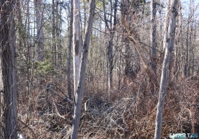 Ashley, Goshen, 06756, 0 , 0 ,0,Lots And Land For Sale,For Sale,Ashley,0,24162017