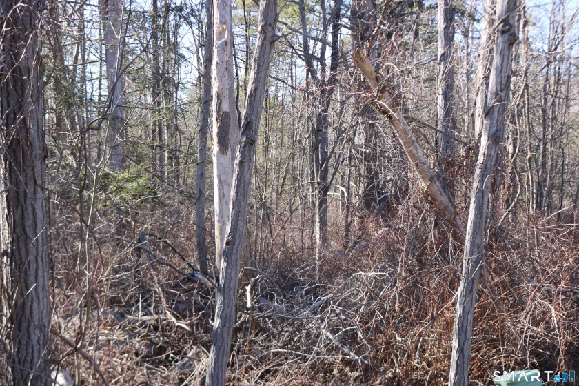 Ashley, Goshen, 06756, 0 , 0 ,0,Lots And Land For Sale,For Sale,Ashley,0,24162017
