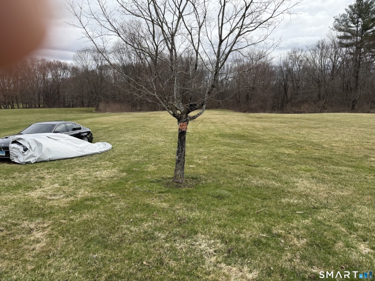 193 Wells, East Windsor, 06088, 0 , 0 ,0,Lots And Land For Sale,For Sale,Wells,0,24161570