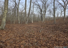 Brainard, Westbrook, 06498, 0 , 0 ,0,Lots And Land For Sale,For Sale,Brainard,0,24163334 Brainard, Westbrook, 06498, 0 , 0 ,0,Lots And Land For Sale,For Sale,Brainard,0,24163334