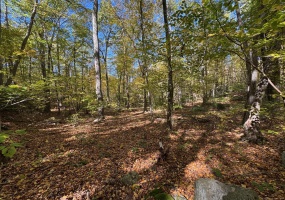 428-LOT Plains, Haddam, 06438, 0 , 0 ,0,Lots And Land For Sale,For Sale,Plains,0,24168087