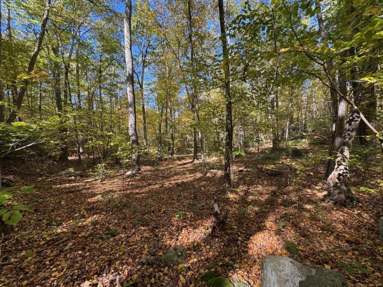 428-LOT Plains, Haddam, 06438, 0 , 0 ,0,Lots And Land For Sale,For Sale,Plains,0,24168087