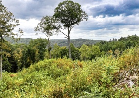 101 Lower Church Hill, Washington, 06794, 0 , 0 ,0,Lots And Land For Sale,For Sale,Lower Church Hill,0,24169139