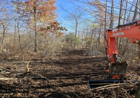 Al Harvey, Stonington, 06378, 0 , 0 ,0,Lots And Land For Sale,For Sale,Al Harvey,0,24169290 Al Harvey, Stonington, 06378, 0 , 0 ,0,Lots And Land For Sale,For Sale,Al Harvey,0,24169290