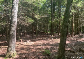 Lot 1 Chalybes, Roxbury, 06783, 0 , 0 ,0,Lots And Land For Sale,For Sale,Chalybes,0,24169428 Lot 1 Chalybes, Roxbury, 06783, 0 , 0 ,0,Lots And Land For Sale,For Sale,Chalybes,0,24169428