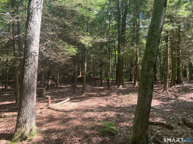 Lot 1 Chalybes, Roxbury, 06783, 0 , 0 ,0,Lots And Land For Sale,For Sale,Chalybes,0,24169428