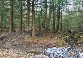 393 Winchester, Winchester, 06098, 0 , 0 ,0,Lots And Land For Sale,For Sale,Winchester,0,170078080