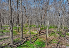 0 June, Stamford, 06904, 0 , 0 ,0,Lots And Land For Sale,For Sale,June,0,24169936