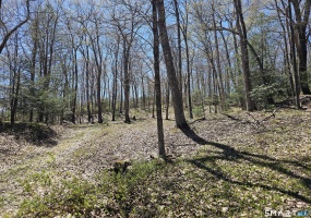 307 North, Roxbury, 06783, 0 , 0 ,0,Lots And Land For Sale,For Sale,North,0,24169970 307 North, Roxbury, 06783, 0 , 0 ,0,Lots And Land For Sale,For Sale,North,0,24169970