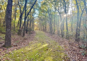 Mountain Laurel, Middletown, 06457, 0 , 0 ,0,Lots And Land For Sale,For Sale,Mountain Laurel,0,24170659 Mountain Laurel, Middletown, 06457, 0 , 0 ,0,Lots And Land For Sale,For Sale,Mountain Laurel,0,24170659