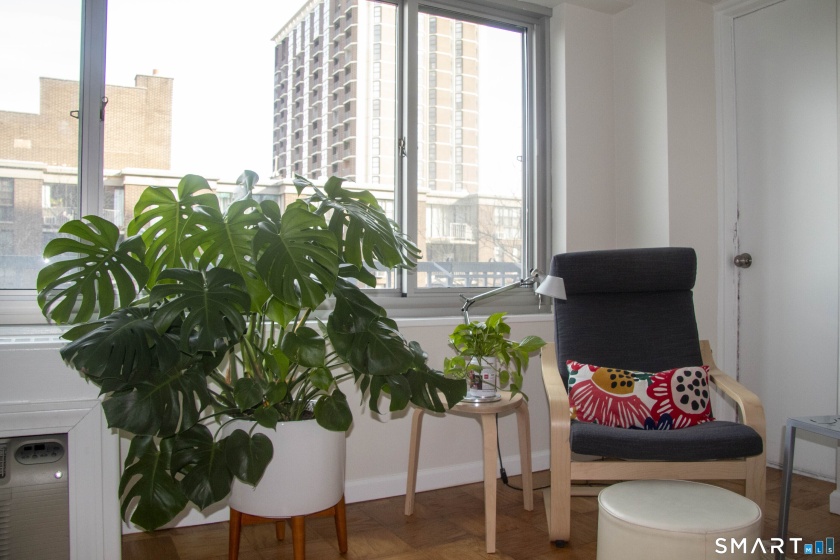 100 York, New Haven, 06511, 2 Bedrooms Bedrooms, 0 ,1 BathroomBathrooms,Condo/co-op For Sale,For Sale,York,0,24161428