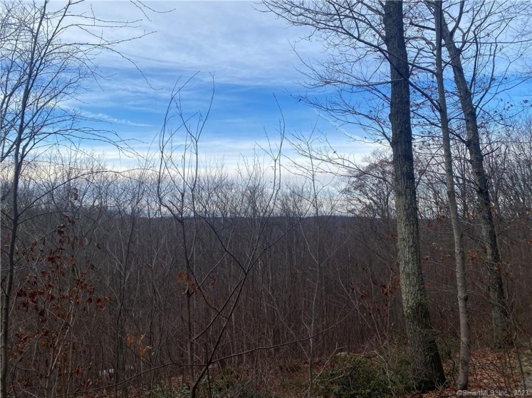 52 Chestnut Hill, Wolcott, 06716, 0 , 0 ,0,Lots And Land For Sale,For Sale,Chestnut Hill,0,170613534