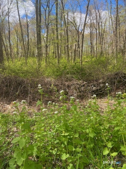 0 Clark Hill, East Haddam, 06423, 0 , 0 ,0,Lots And Land For Sale,For Sale,Clark Hill,0,24172467