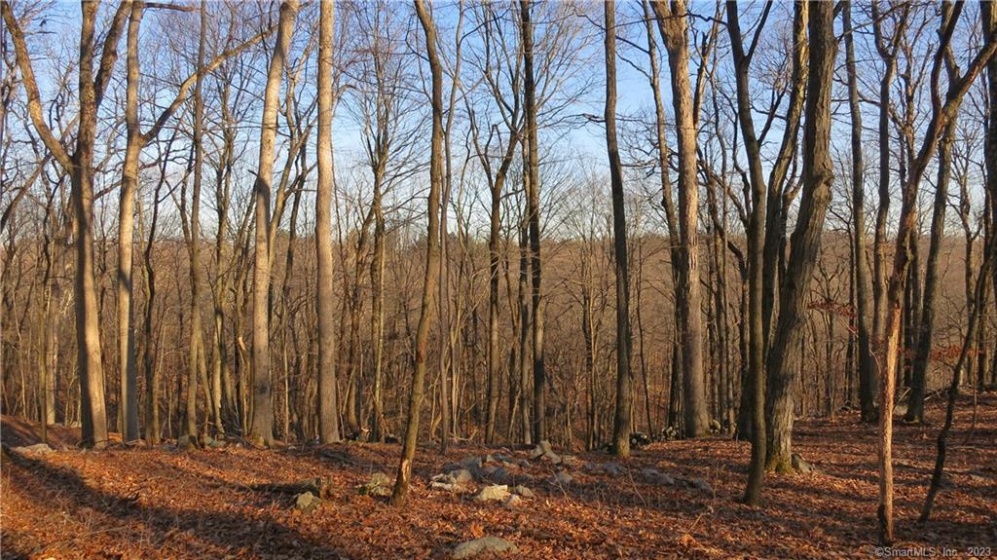67 Umpawaug, Redding, 06896, 0 , 0 ,0,Lots And Land For Sale,For Sale,Umpawaug,0,24172383