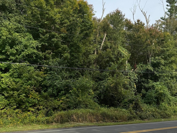 142 Turnpike, Somers, 06071, 0 , 0 ,0,Lots And Land For Sale,For Sale,Turnpike,0,24173185