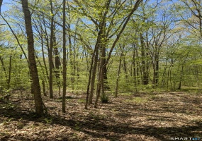 Englewood, Coventry, 06238, 0 , 0 ,0,Lots And Land For Sale,For Sale,Englewood,0,24173868 Englewood, Coventry, 06238, 0 , 0 ,0,Lots And Land For Sale,For Sale,Englewood,0,24173868