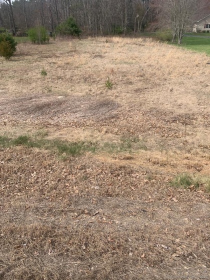 1248 hartford, Killingly, 06243, 0 , 0 ,0,Lots And Land For Sale,For Sale,hartford,0,24175322