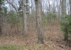 70 cutler, Killingly, 06243, 0 , 0 ,0,Lots And Land For Sale,For Sale,cutler,0,24175435