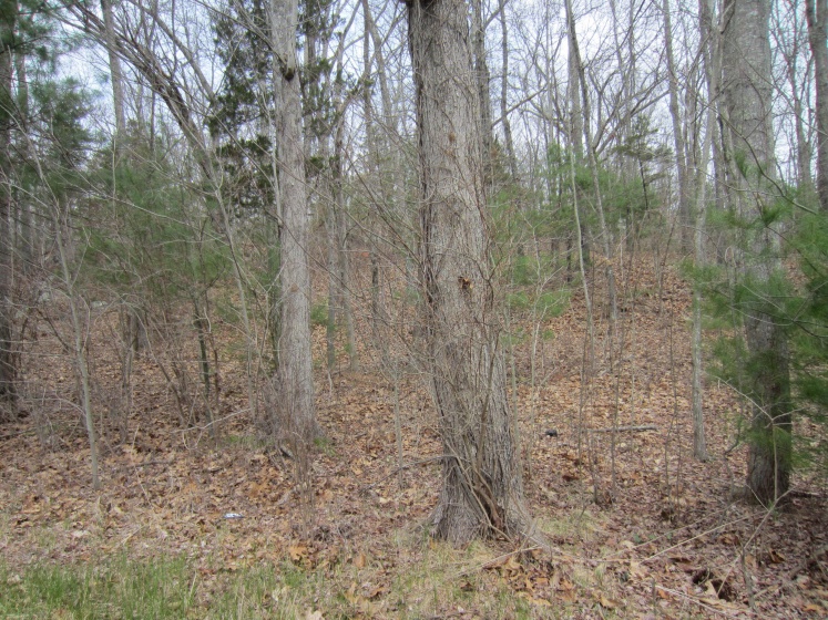 70 cutler, Killingly, 06243, 0 , 0 ,0,Lots And Land For Sale,For Sale,cutler,0,24175435