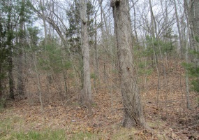 43 fallbrook, Killingly, 06243, 0 , 0 ,0,Lots And Land For Sale,For Sale,fallbrook,0,24175350 43 fallbrook, Killingly, 06243, 0 , 0 ,0,Lots And Land For Sale,For Sale,fallbrook,0,24175350