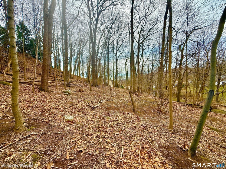 71 Dunbar Hill, Hamden, 06514, 0 , 0 ,0,Lots And Land For Sale,For Sale,Dunbar Hill,0,24175076