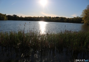 00 Mt. Tom, Morris, 06763, 0 , 0 ,0,Lots And Land For Sale,For Sale,Mt. Tom,0,24175783