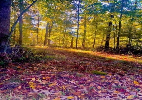 88-A Flat Rock Hill, Old Lyme, 06371, 0 , 0 ,0,Lots And Land For Sale,For Sale,Flat Rock Hill,0,24176086 88-A Flat Rock Hill, Old Lyme, 06371, 0 , 0 ,0,Lots And Land For Sale,For Sale,Flat Rock Hill,0,24176086