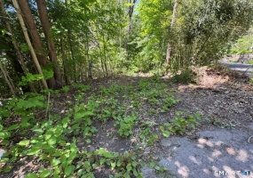 0 Wooster, Naugatuck, 06770, 0 , 0 ,0,Lots And Land For Sale,For Sale,Wooster,0,24176176