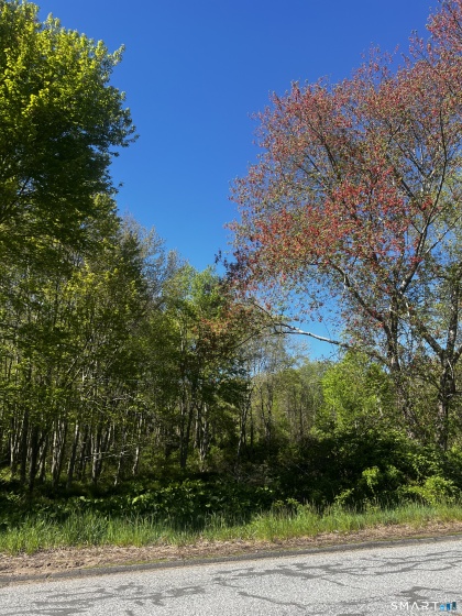 408 Martin, Hebron, 06248, 0 , 0 ,0,Lots And Land For Sale,For Sale,Martin,0,24176593