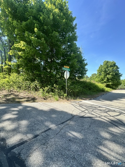 MaxFelix, Mansfield, 06268, 0 , 0 ,0,Lots And Land For Sale,For Sale,MaxFelix,0,24177137