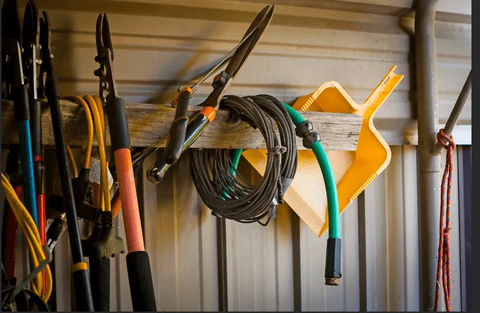 Fall Garden & Yard Cleanup